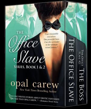 Cover of the book The Office Slave Series, Book 1 & 2 Boxed Set by Ruby Carew, Opal Carew