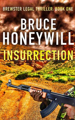 Cover of the book Insurrection by T.S. Barnett