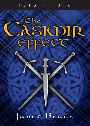 bigCover of the book The Casimir Effect by 
