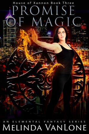 Cover of the book Promise of Magic by Francesca Reicherter