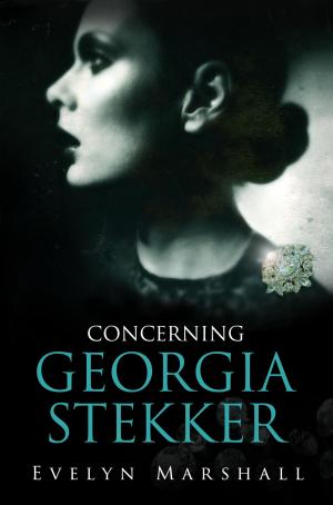 bigCover of the book Concerning Georgia Stekker by 