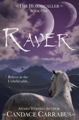 Cover of the book Raver, The Horsecaller: Book One (a romantic adventure fantasy) by B Throwsnaill