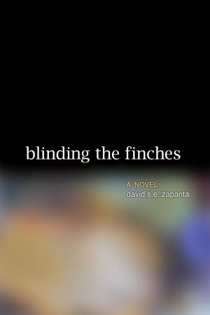 Cover of the book Blinding the Finches by 黃錦樹
