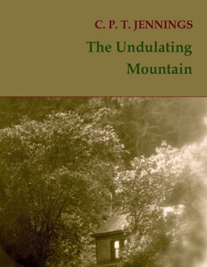 Book cover of The Undulating Mountain
