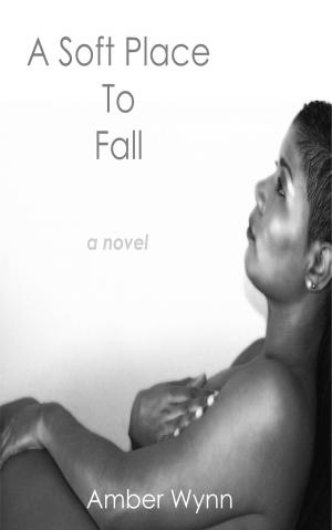 Cover of the book A Soft Place to Fall by NOIRE Noire, CHUNICHI Chunichi