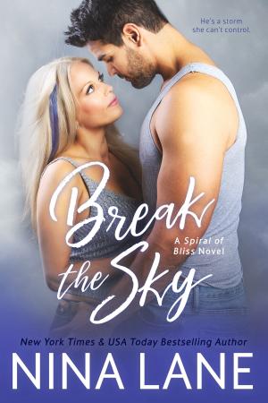 Book cover of Break the Sky