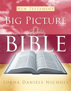 Cover of Big Picture of the Bible—New Testament