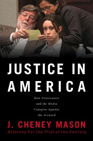 Cover of the book Justice in America by Steve  Cooley, Robert Schirn