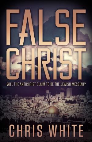 Cover of the book False Christ by Robert J. Levesque