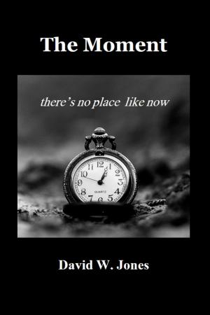 Book cover of The Moment: there is no place like now