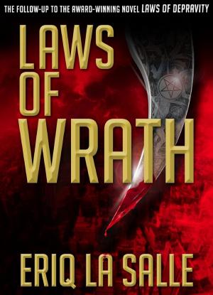 Cover of the book Laws of Wrath by Pamela Deane