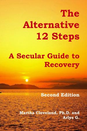 Book cover of The Alternative 12 Steps