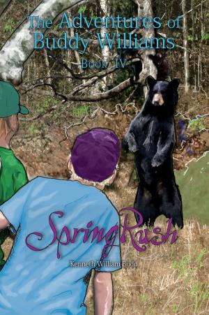 Book cover of SpringRush
