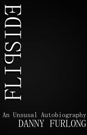 Book cover of Flipside
