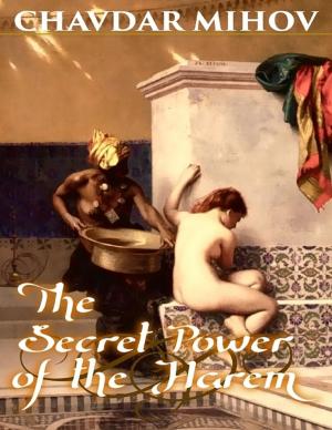 Cover of the book The Secret Power of the Harem by Blake Hunter