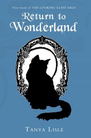 Cover of Return to Wonderland