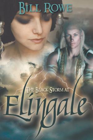 Book cover of The Black Storm at Elingale
