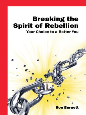 Cover of the book Breaking the Spirit of Rebellion: You Deserve a Better You by Amerigo Merenda
