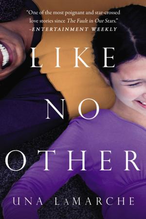 Cover of the book Like No Other by Paula Danziger