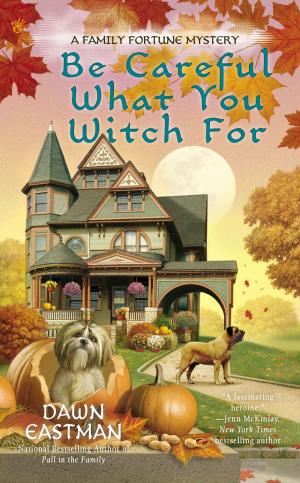 Cover of the book Be Careful What You Witch For by Lynn Viehl