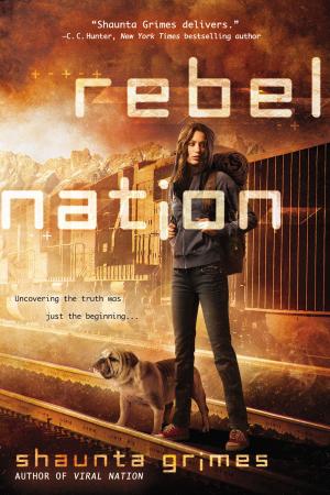 Cover of the book Rebel Nation by Allison Kingsley