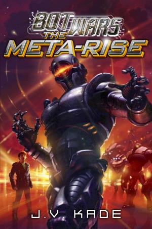 Cover of the book The Meta-Rise by Sally Warner