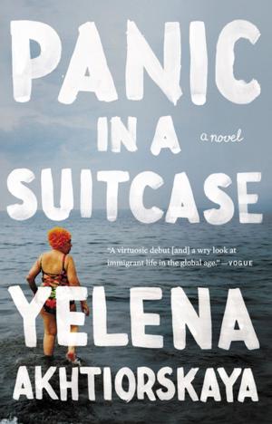 Cover of the book Panic in a Suitcase by Janet Chapman