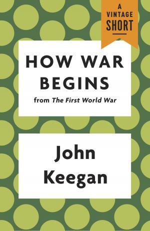Cover of the book How War Begins by Michael Brooks