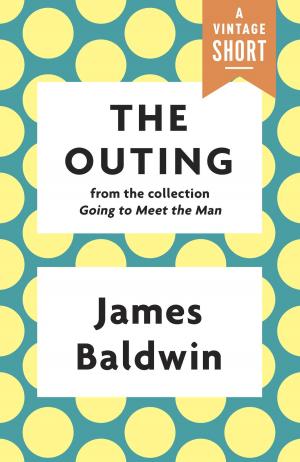 Book cover of The Outing