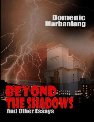 Cover of the book Beyond the Shadows and Other Essays by Abbas Merali
