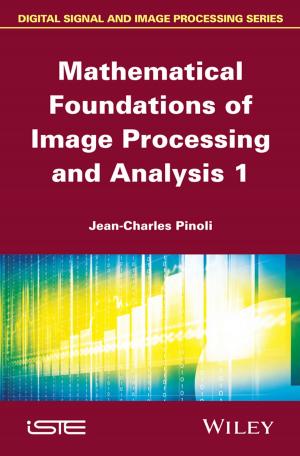 Cover of the book Mathematical Foundations of Image Processing and Analysis by Jeffrey W. Alstete
