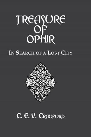 bigCover of the book Treasure Of Ophir by 