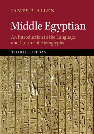 Cover of the book Middle Egyptian by Professor Ian Marsh, Professor Raymond Miller
