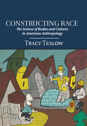Cover of the book Constructing Race by Anthony Patt
