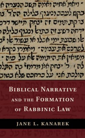 Book cover of Biblical Narrative and the Formation of Rabbinic Law