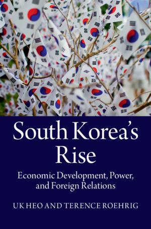 Book cover of South Korea's Rise