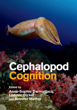 Cover of the book Cephalopod Cognition by Philip N. Patsalos, Blaise F. D. Bourgeois