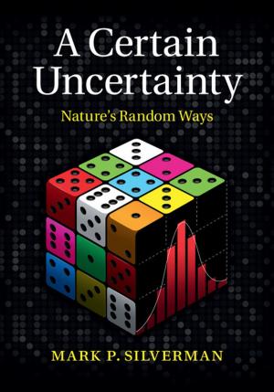 Cover of the book A Certain Uncertainty by John King