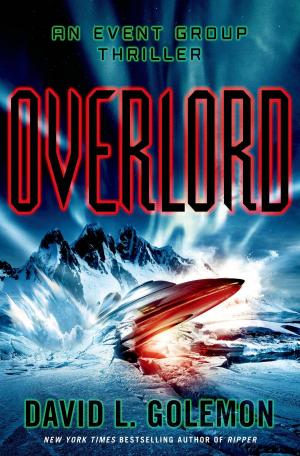 Cover of the book Overlord by E.J. Copperman