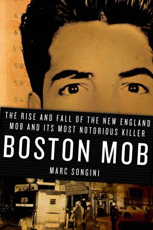 Cover of the book Boston Mob by Chelsie Hill, Jessica Love