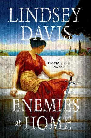 bigCover of the book Enemies at Home by 