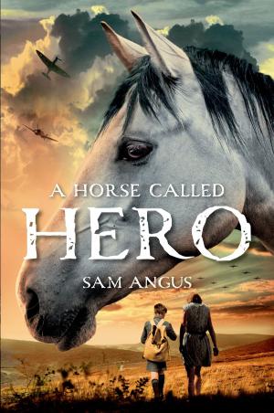 Cover of the book A Horse Called Hero by Jordan Sonnenblick