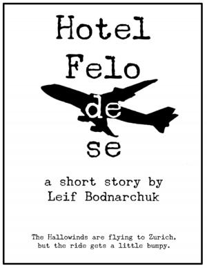 Cover of the book Hotel Felo De Se by Julie Burns-Sweeney