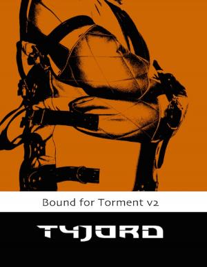 bigCover of the book Bound for Torment Vol 2 by 