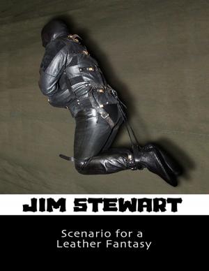 Cover of the book Scenario for a Leather Fantasy by Joy Renkins