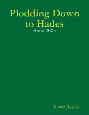 Cover of the book Plodding Down to Hades - Anno 2003 by Terry Nettle