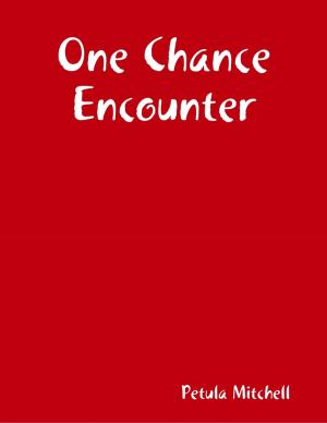 Cover of the book One Chance Encounter by Tony Kelbrat