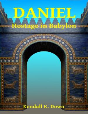 Cover of the book Daniel - Hostage In Babylon by Carol Kravetz