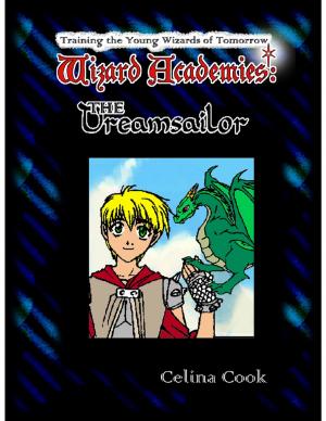 Cover of the book Wizard Academies ● Dreamsailor by Juan Sinclair