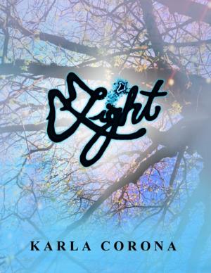 Cover of the book Light by N/A